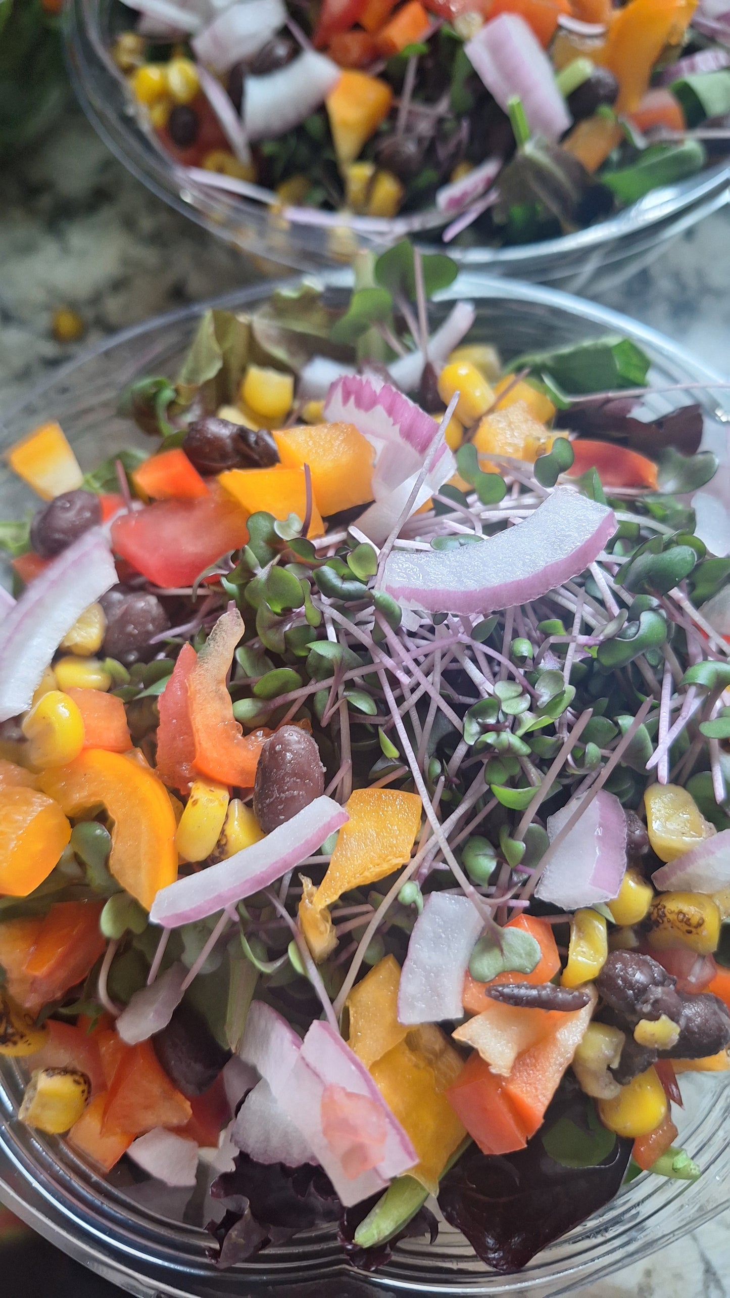 Southwest Microgreen Salad