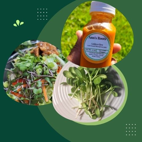 Medium Package – The Wellness Boost